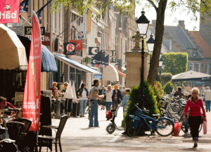 plaatje stad culemborg