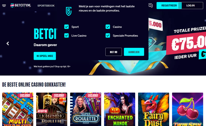 Betcity Casino screenshot