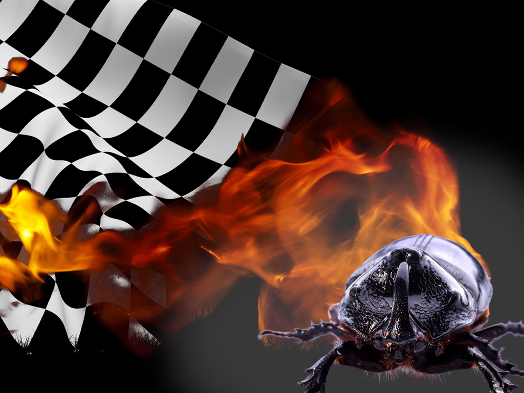 Dit kansspel is niet voor iedereen weggelegd: Cockroach Racing