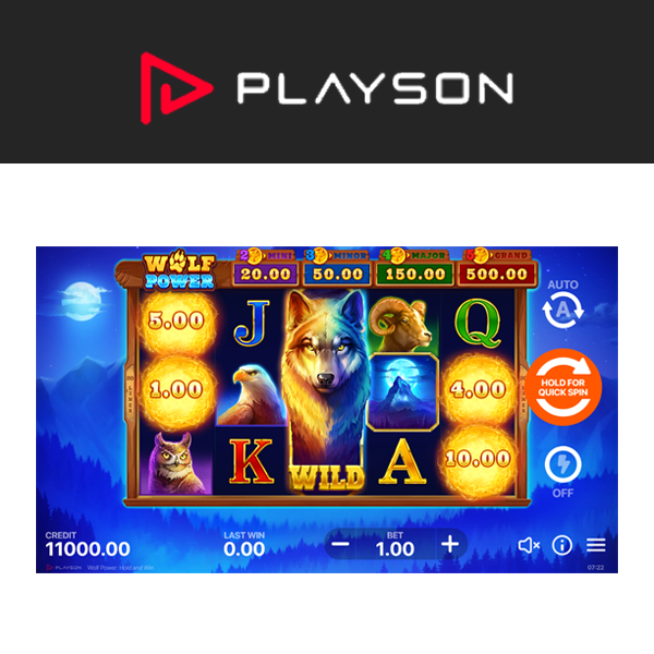 Wolf Power slot van Playson